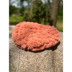 Handcrafted Cat Bed Pet Bed Small Dog Bed Biscuit Dough